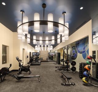 Artisan 4100 Fitness Center